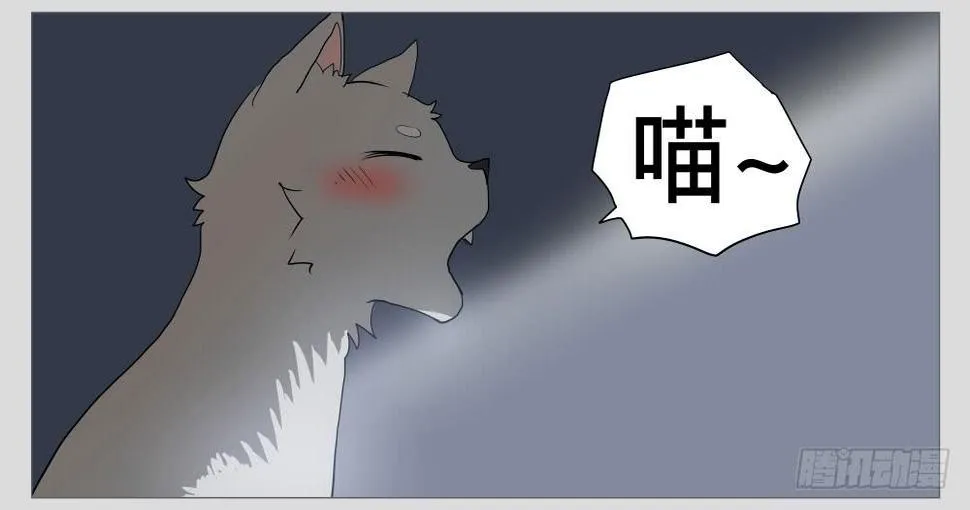 011猫和他的猫part3 第14页