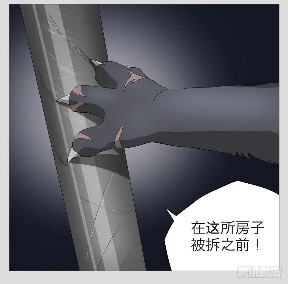 011猫和他的猫part3 第16页