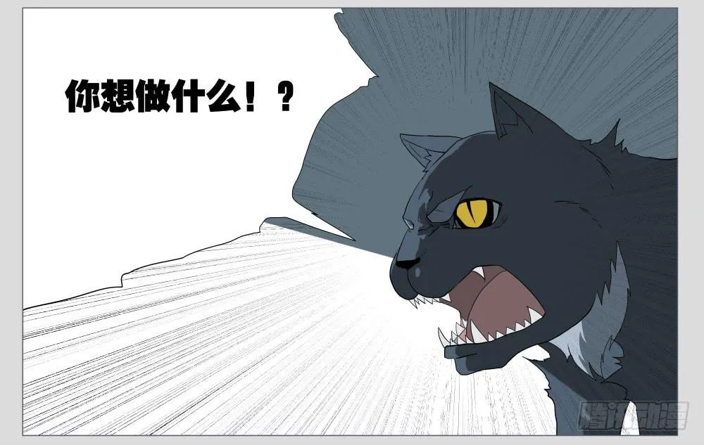 011猫和他的猫part3 第20页