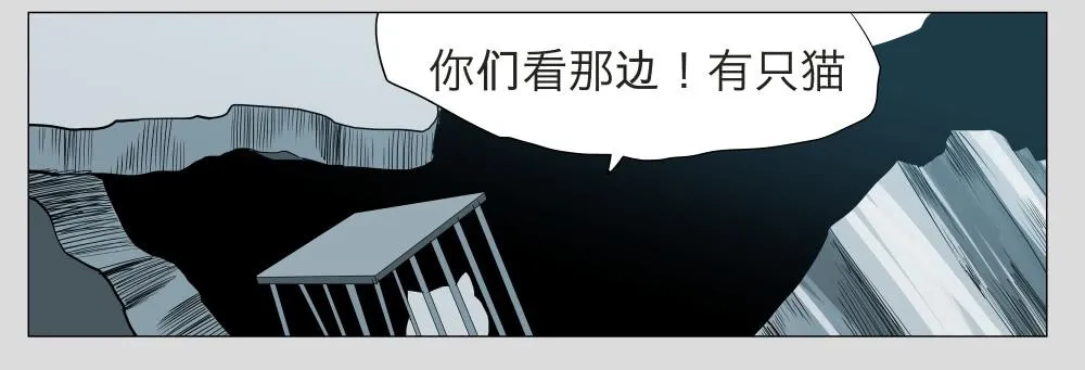 012猫和他的猫part4 第11页