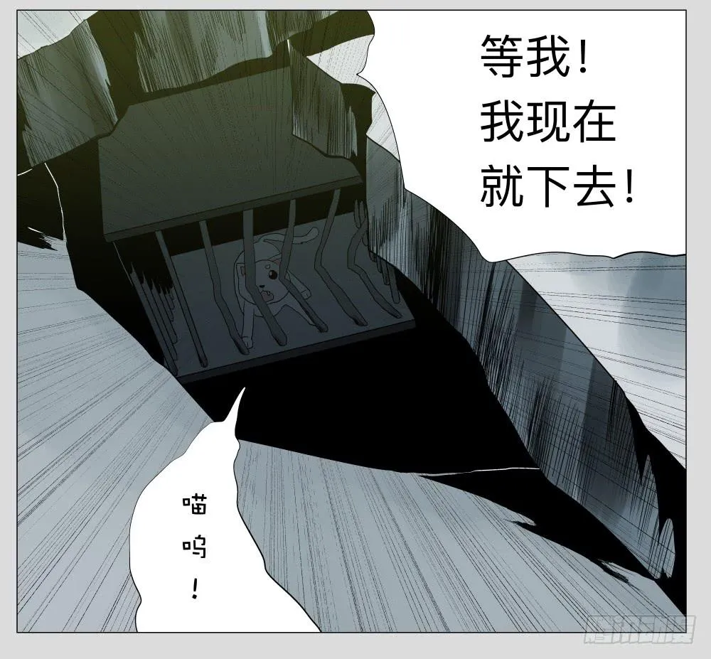 012猫和他的猫part4 第21页