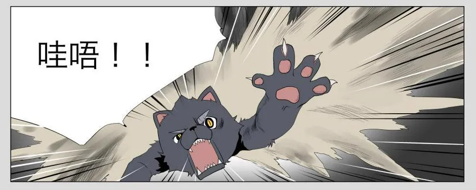013猫和他的猫part5 第2页