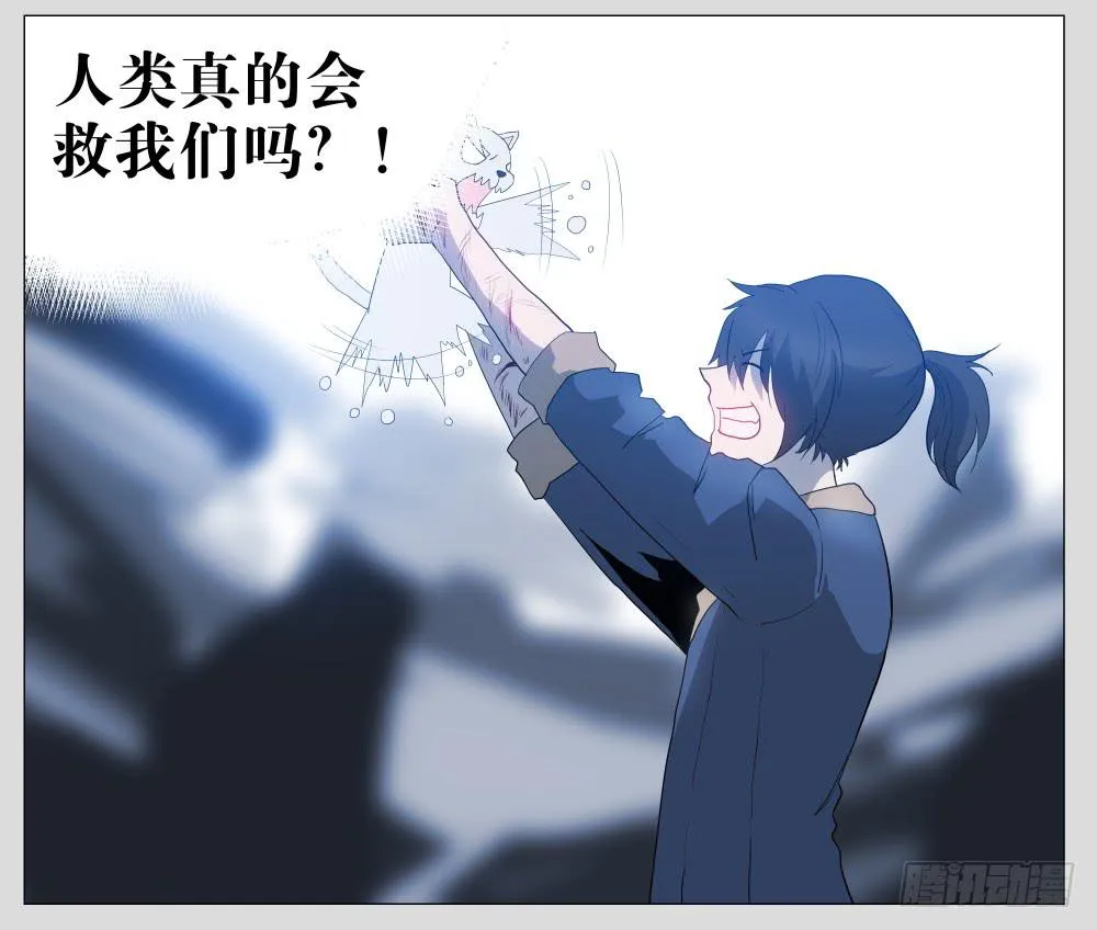 014猫和他的猫part6 第30页