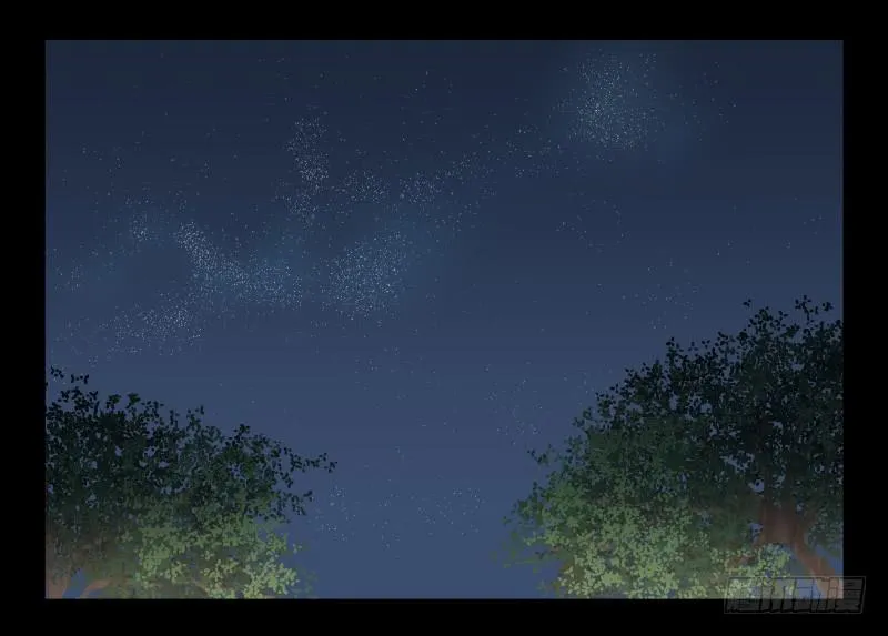 050-思念 第13页