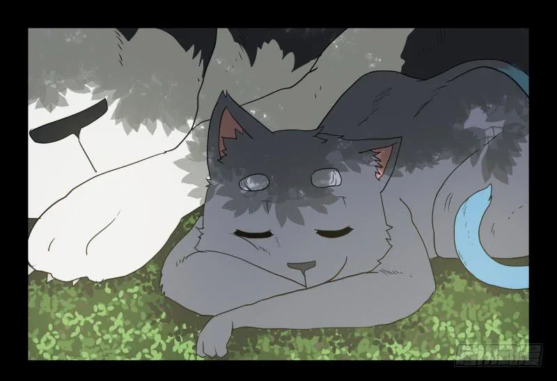 051-猫左犬右part1 第2页