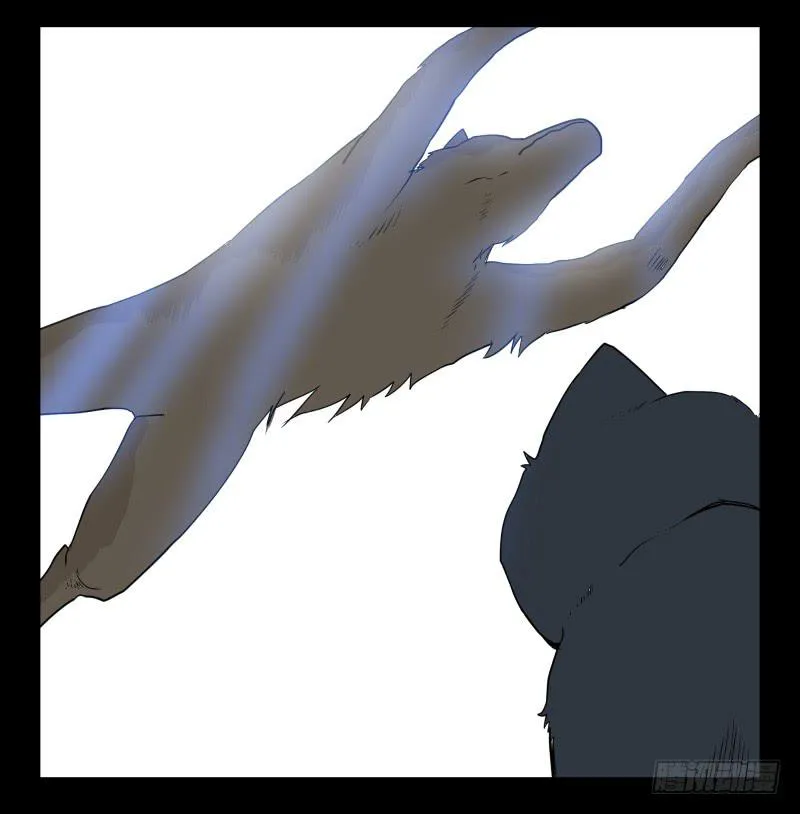 051-猫左犬右part1 第13页