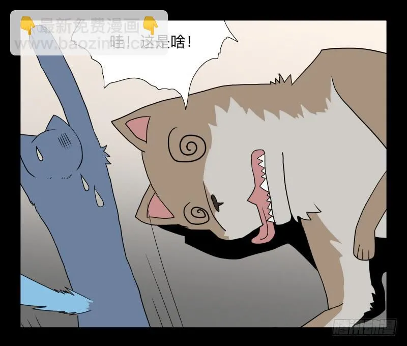 051-猫左犬右part1 第15页