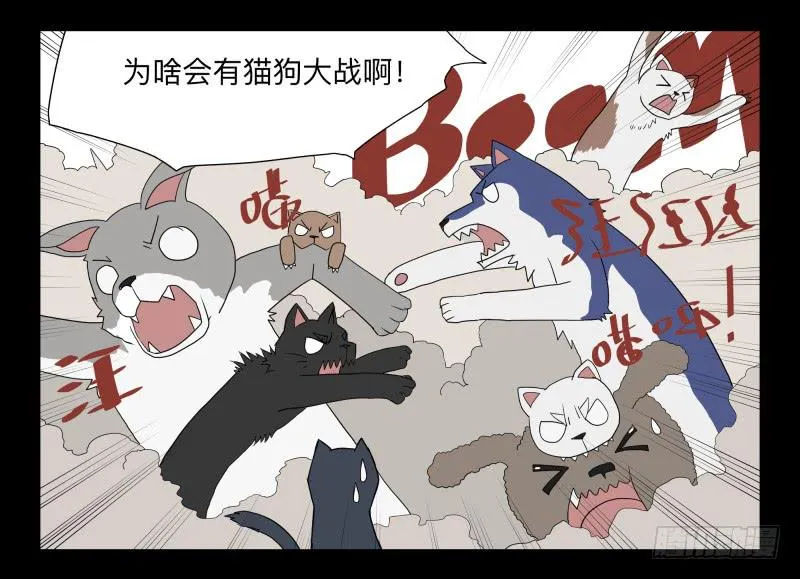 051-猫左犬右part1 第16页