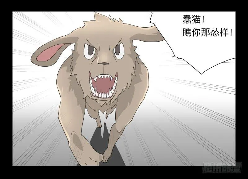 051-猫左犬右part1 第17页