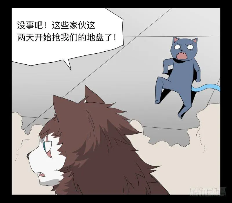 051-猫左犬右part1 第19页