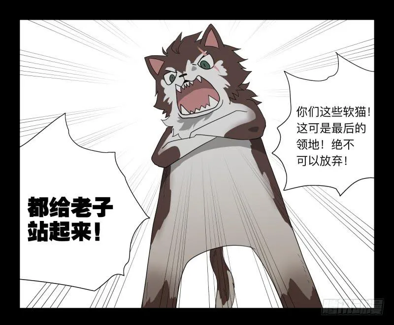 051-猫左犬右part1 第21页
