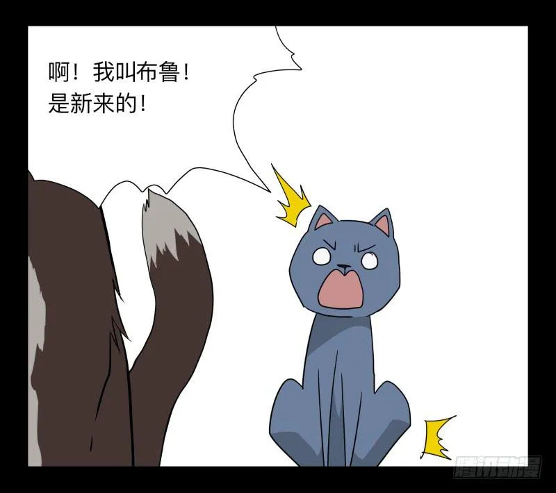 051-猫左犬右part1 第24页
