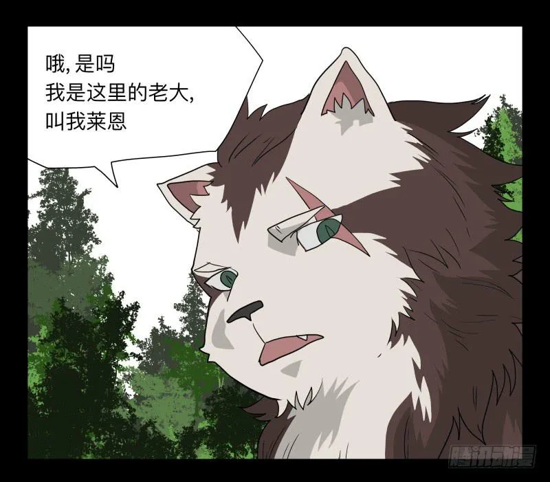 051-猫左犬右part1 第25页