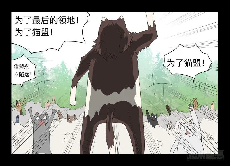 051-猫左犬右part1 第27页