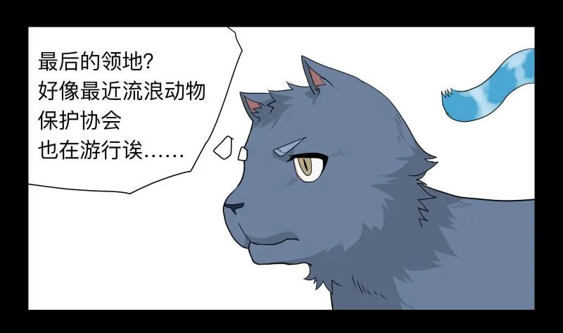 051-猫左犬右part1 第28页