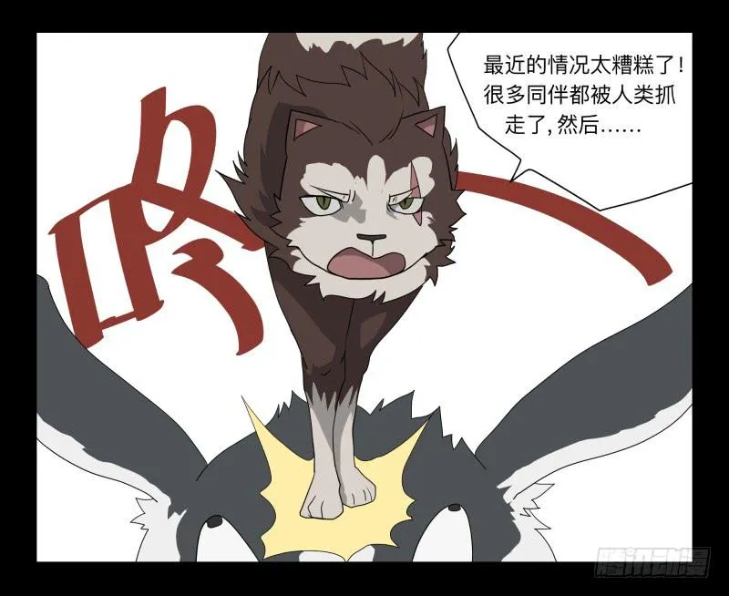 051-猫左犬右part1 第29页