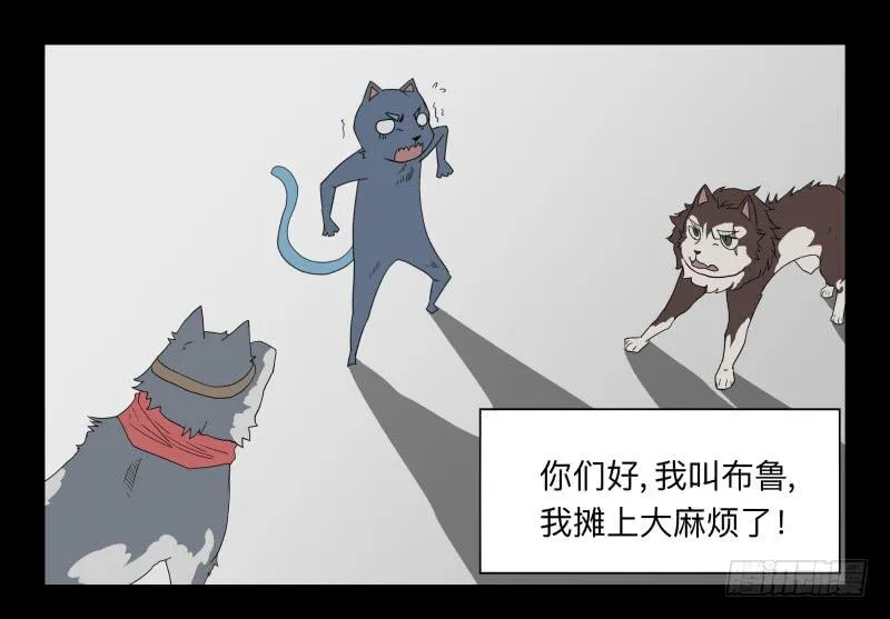 052-猫左犬右part2 第2页