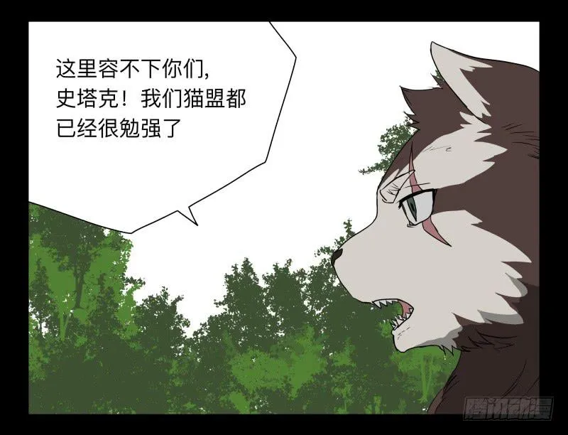 052-猫左犬右part2 第4页