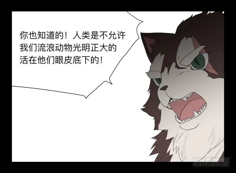 052-猫左犬右part2 第6页