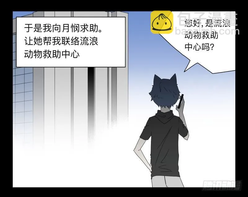 052-猫左犬右part2 第29页
