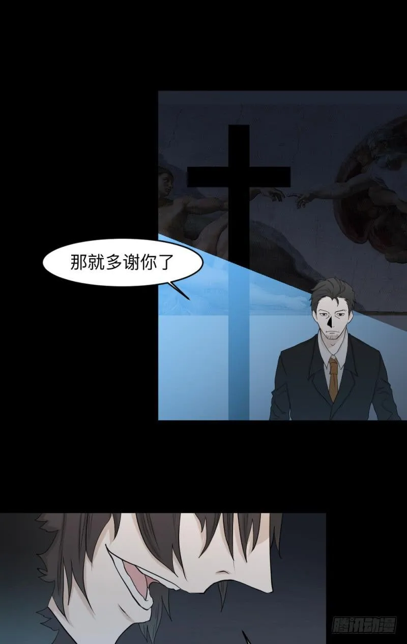 -20 骗局 第13页