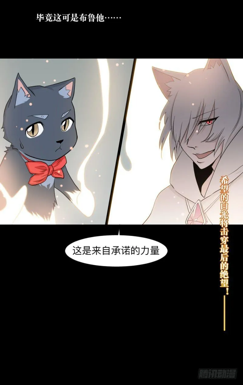 -19 白光 第19页