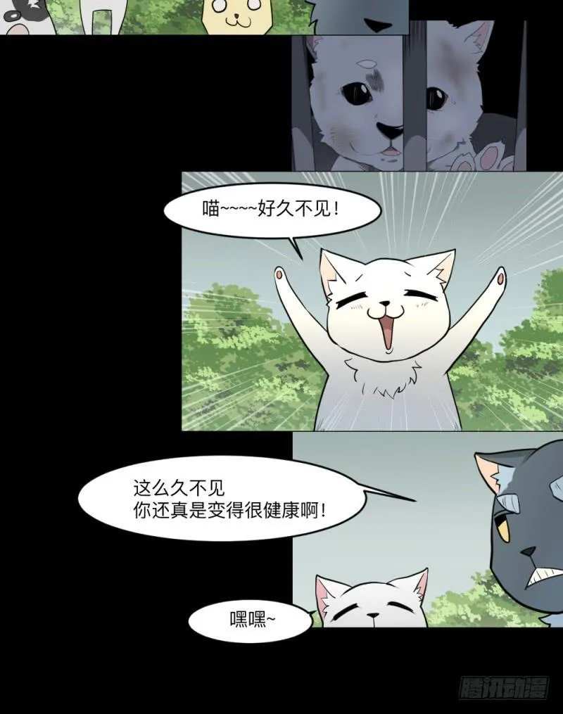 -13 希望之息 第13页