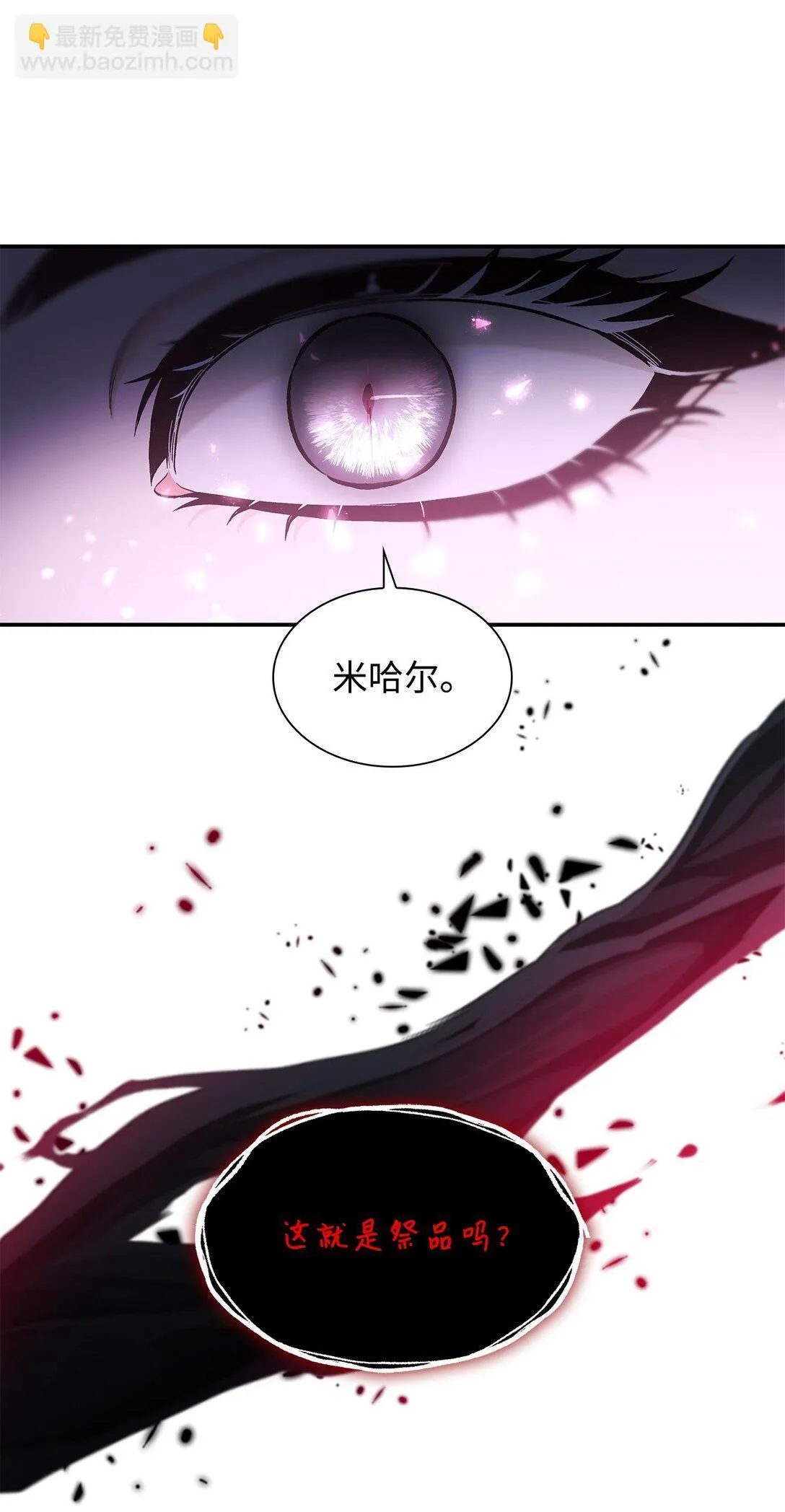 59 米哈尔危险 第80页