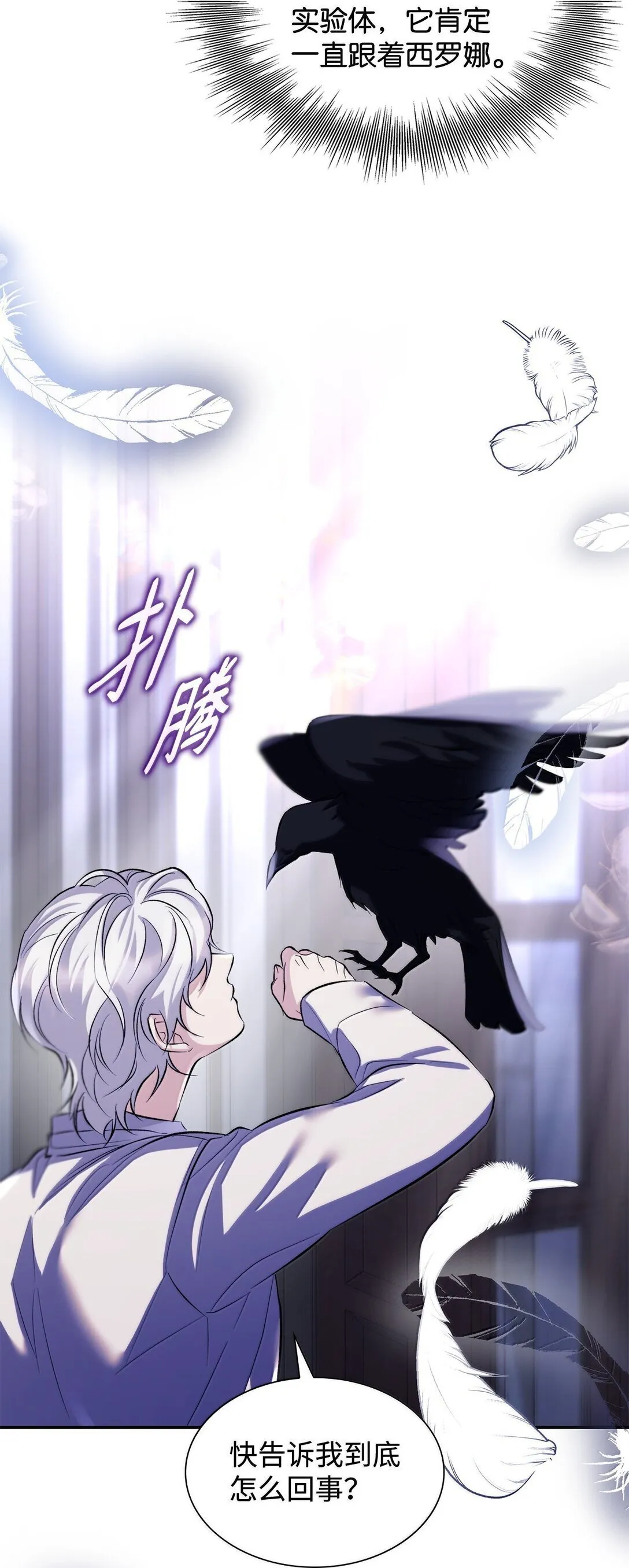 77 西罗娜被绑架 第27页
