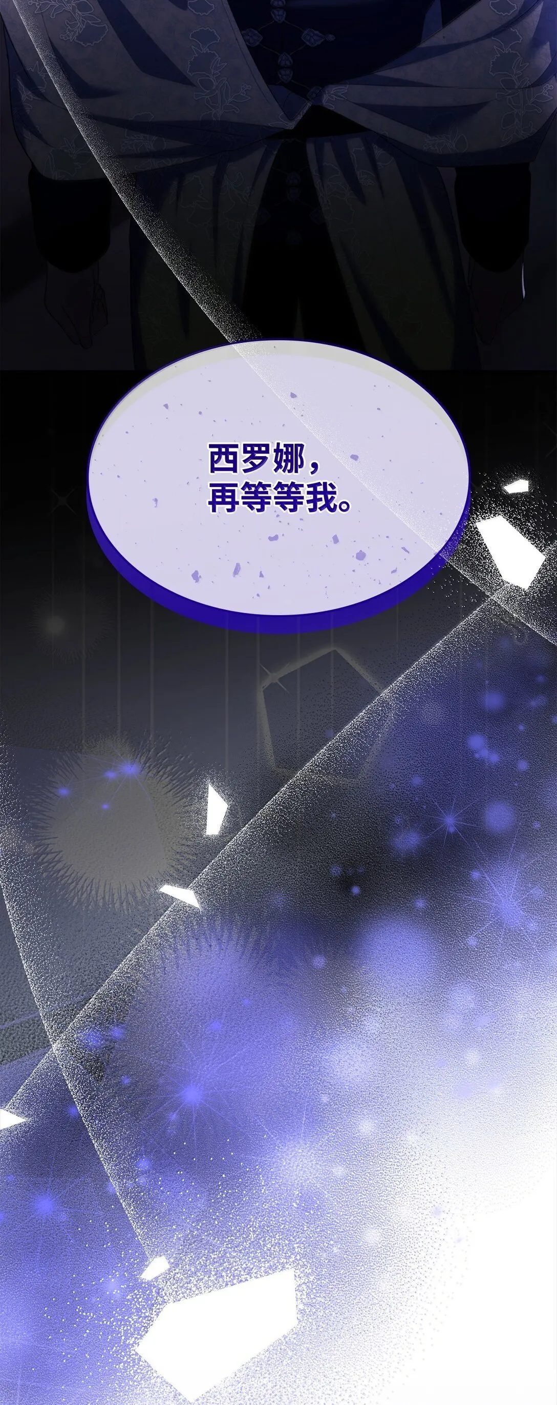 77 西罗娜被绑架 第58页
