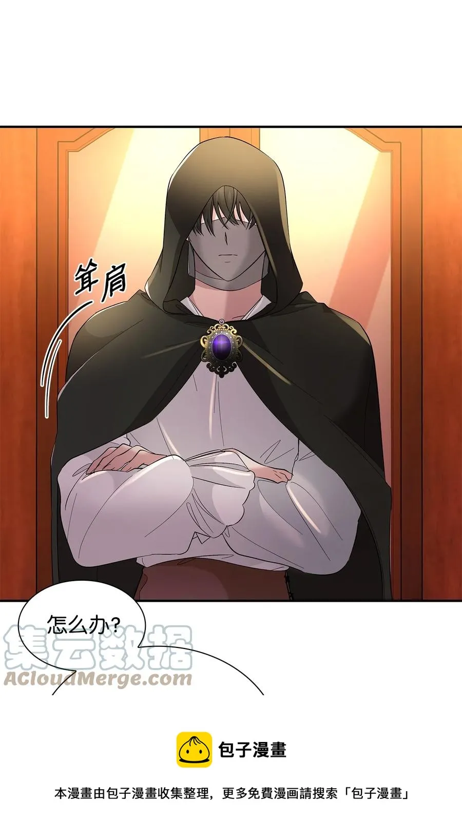 13 西佛兰·阿特斯 第13页
