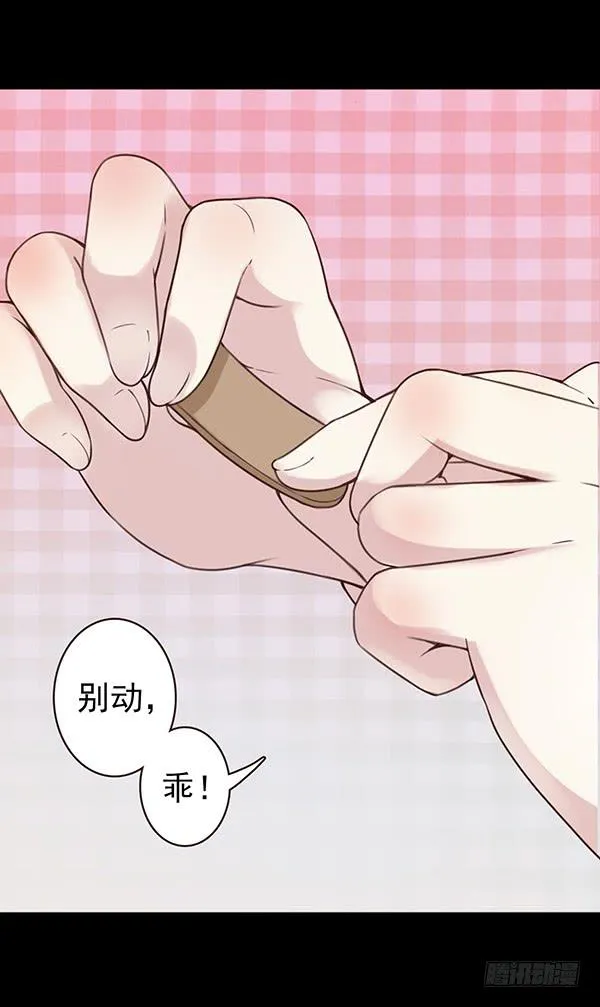 岚哥忌日 第11页
