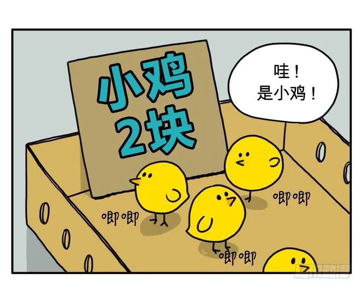 小鸡 第2页