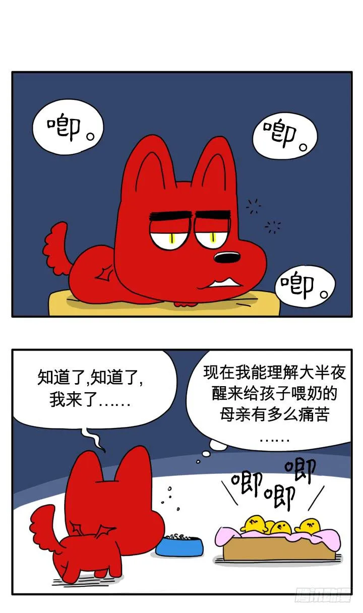 应急粮食 第1页
