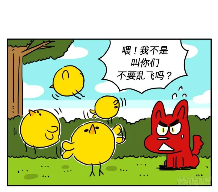 乱飞 第1页