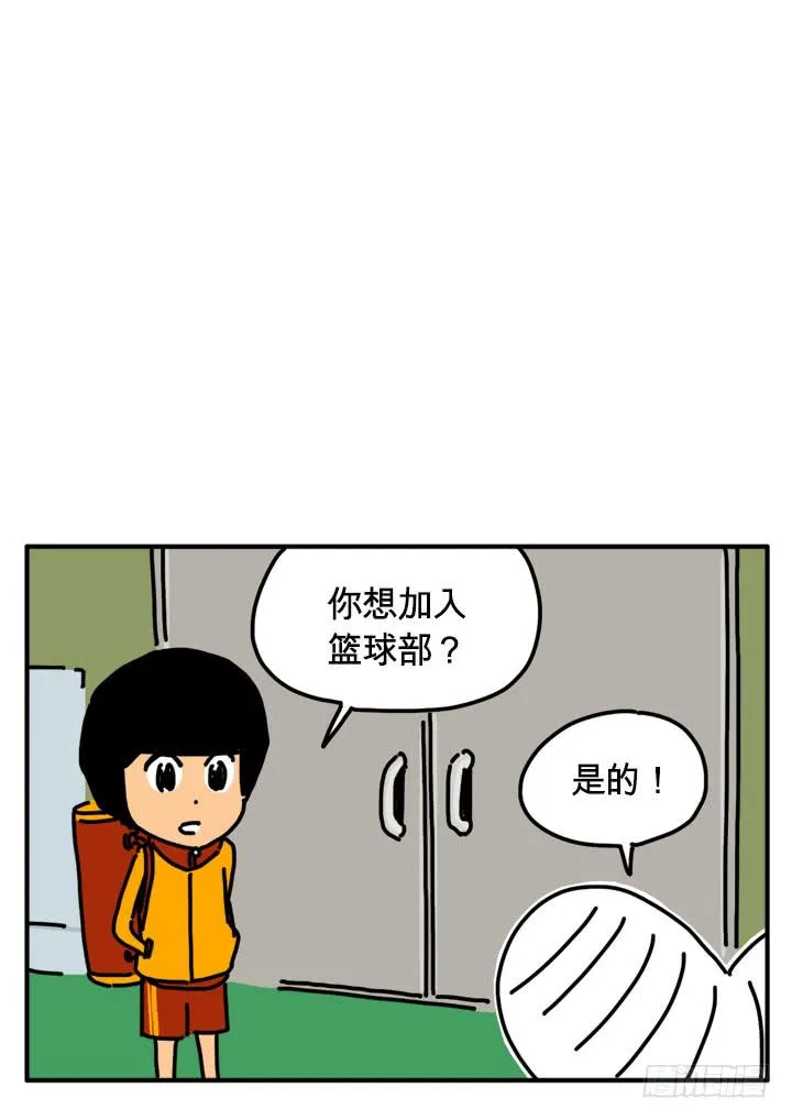 295 第5页