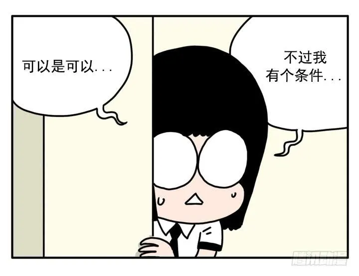338 第5页
