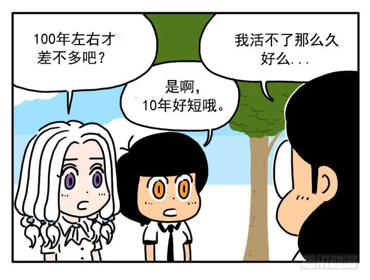 341 第5页
