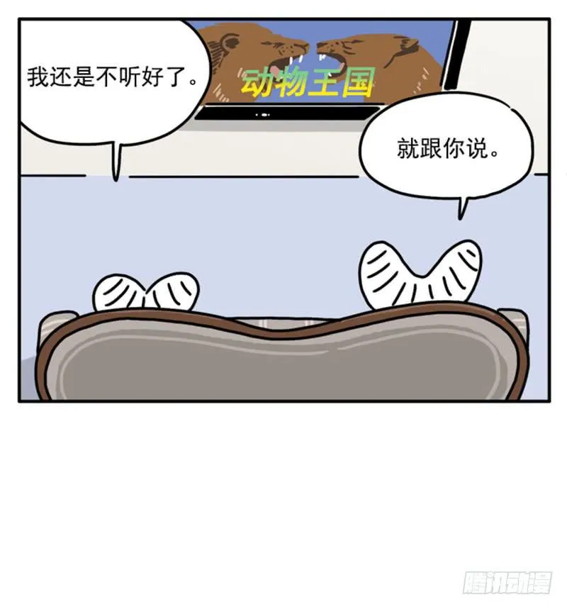 377 第13页