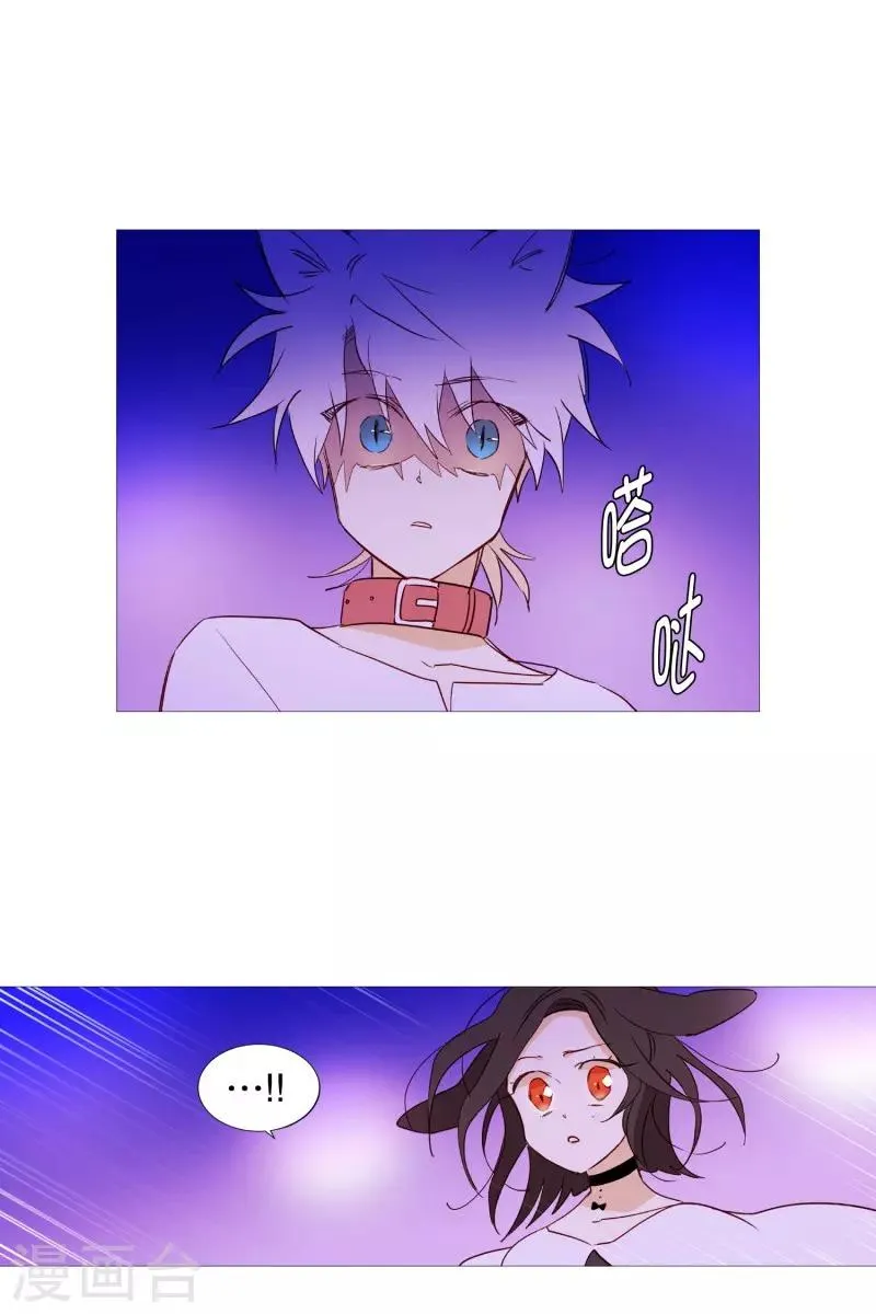 第63话 彼此的问候 第5页