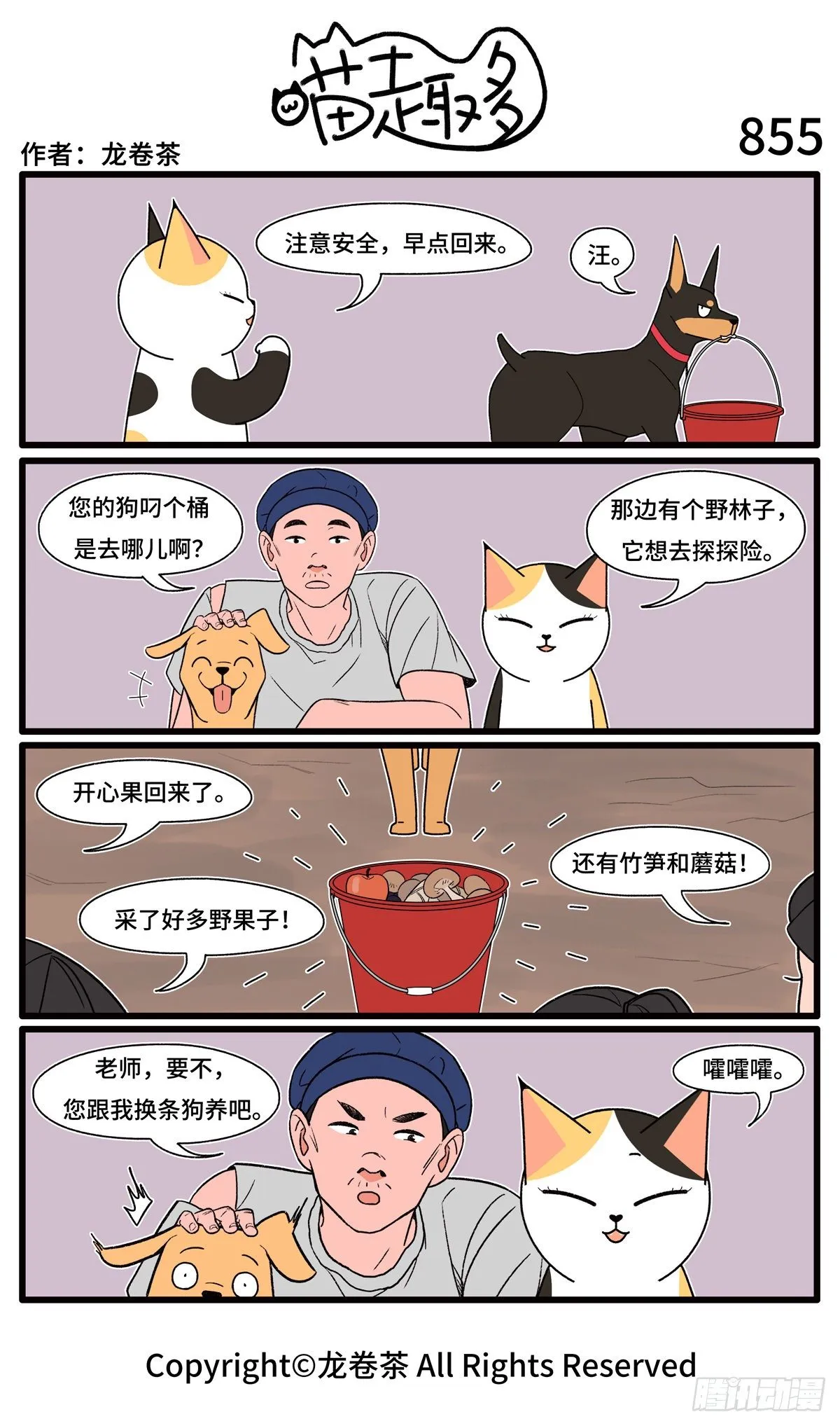 855-858 第1页