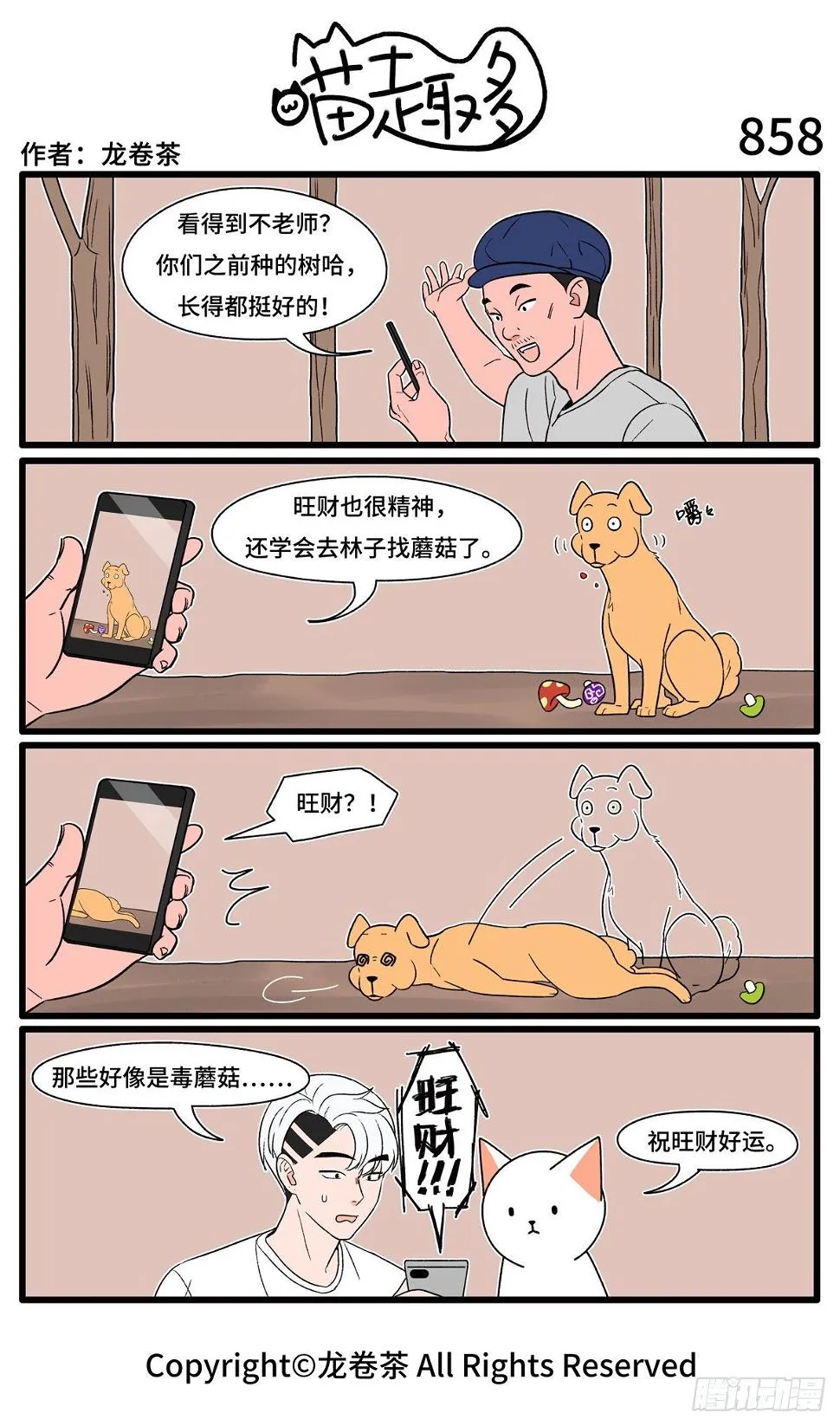 855-858 第4页