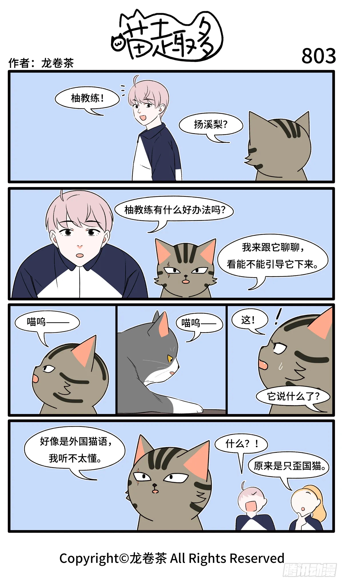 803-806 第1页