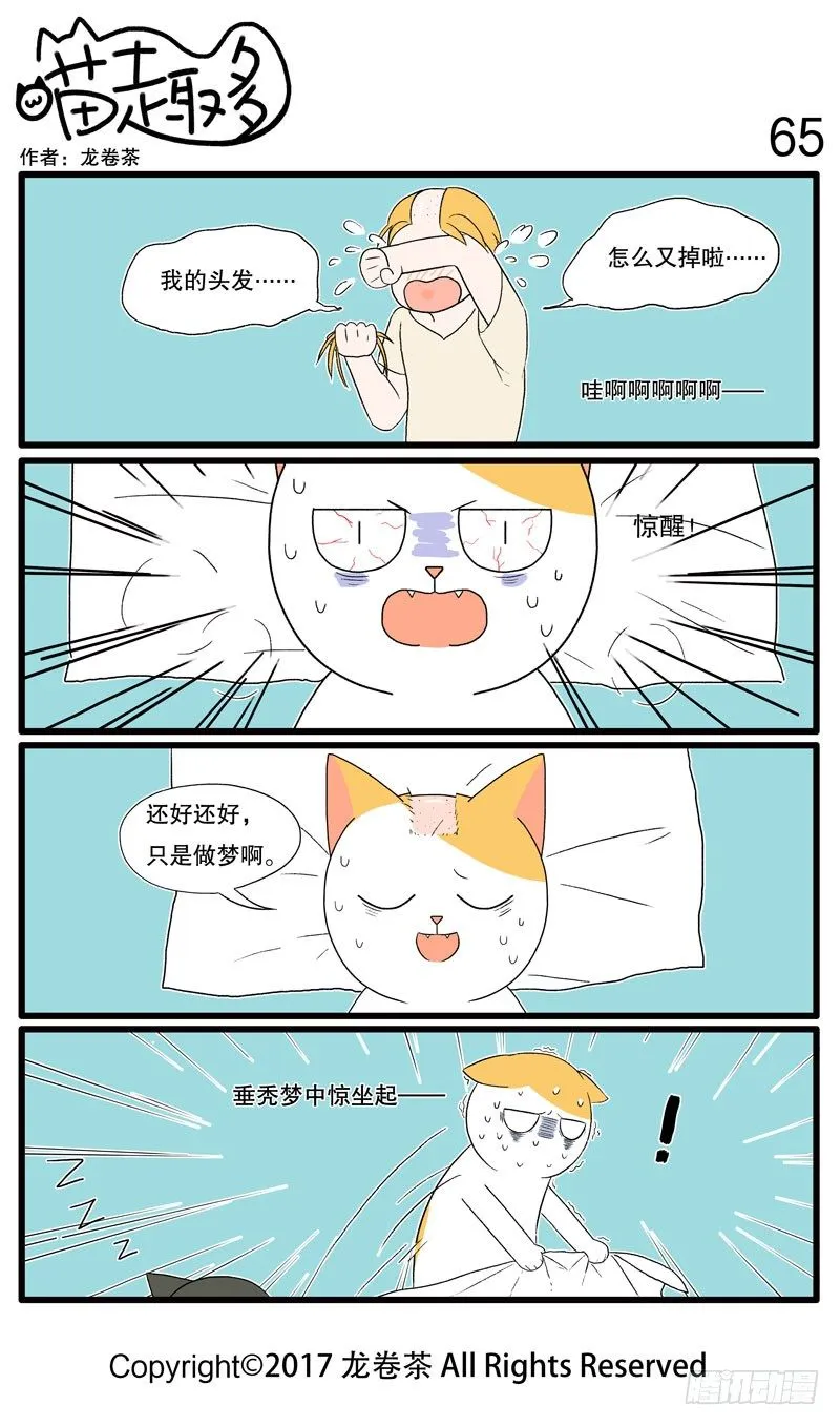 53~65 第13页