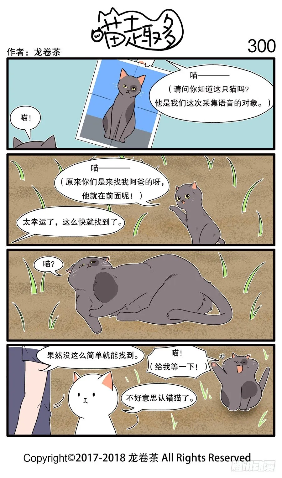 300 第1页