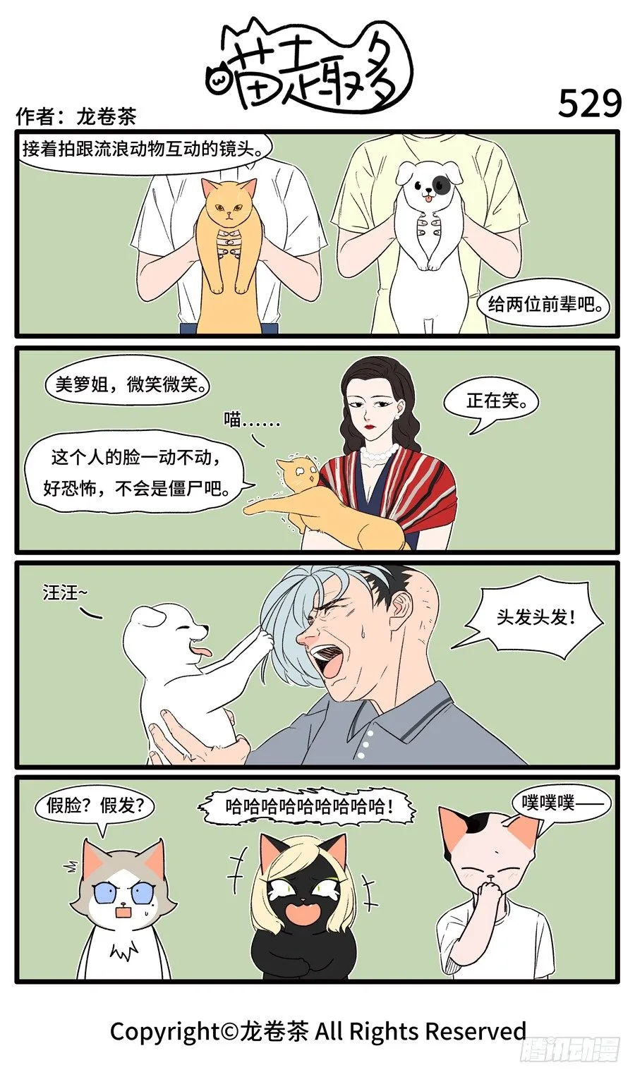 529 第1页