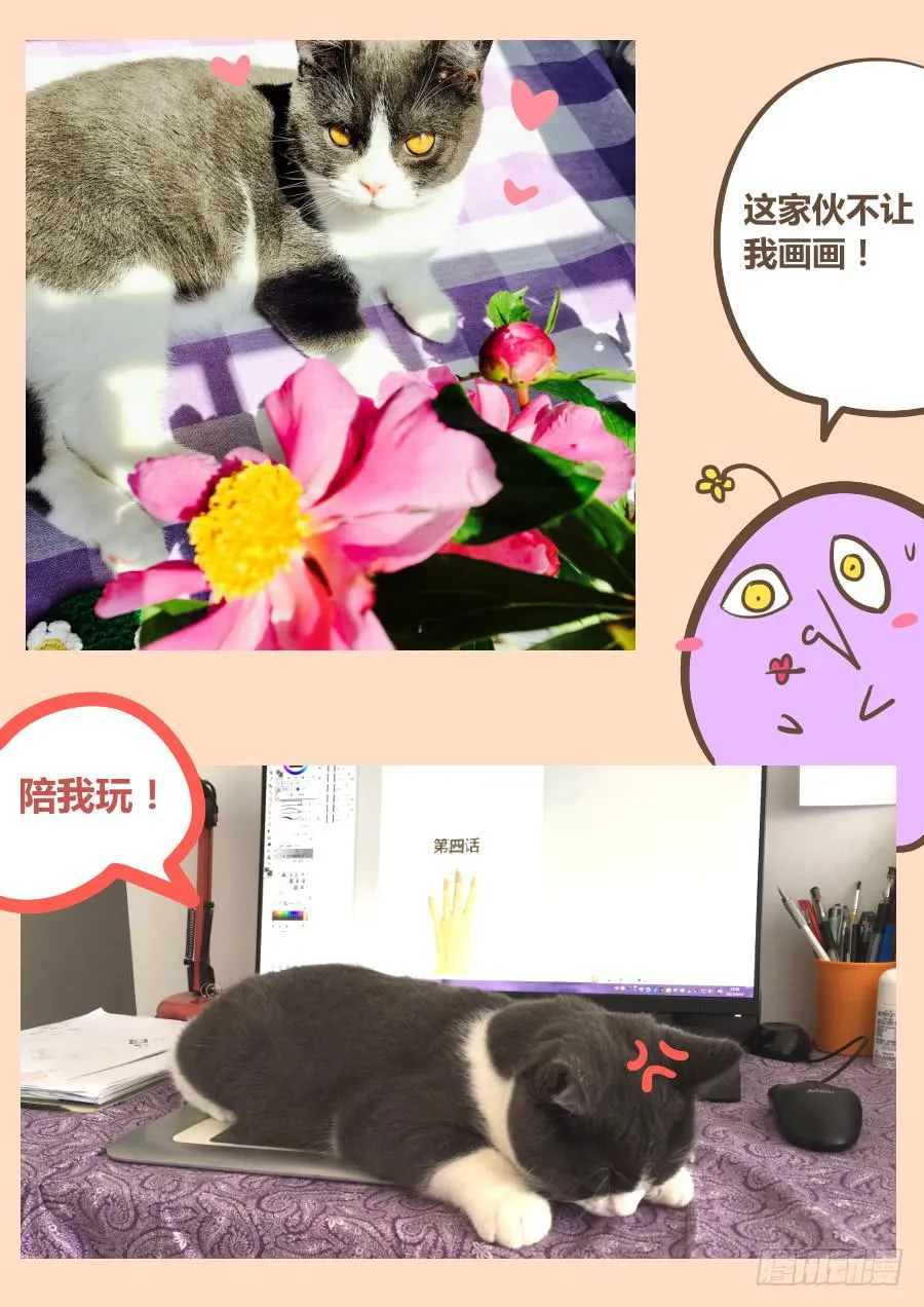第六话：432！ 第13页