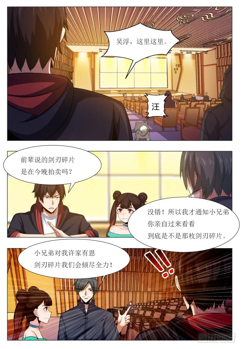 第44话 拍卖会就是买买买! 第2页