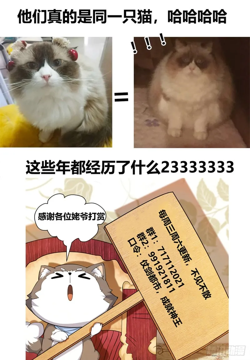 第104话 无上剑阵 第13页