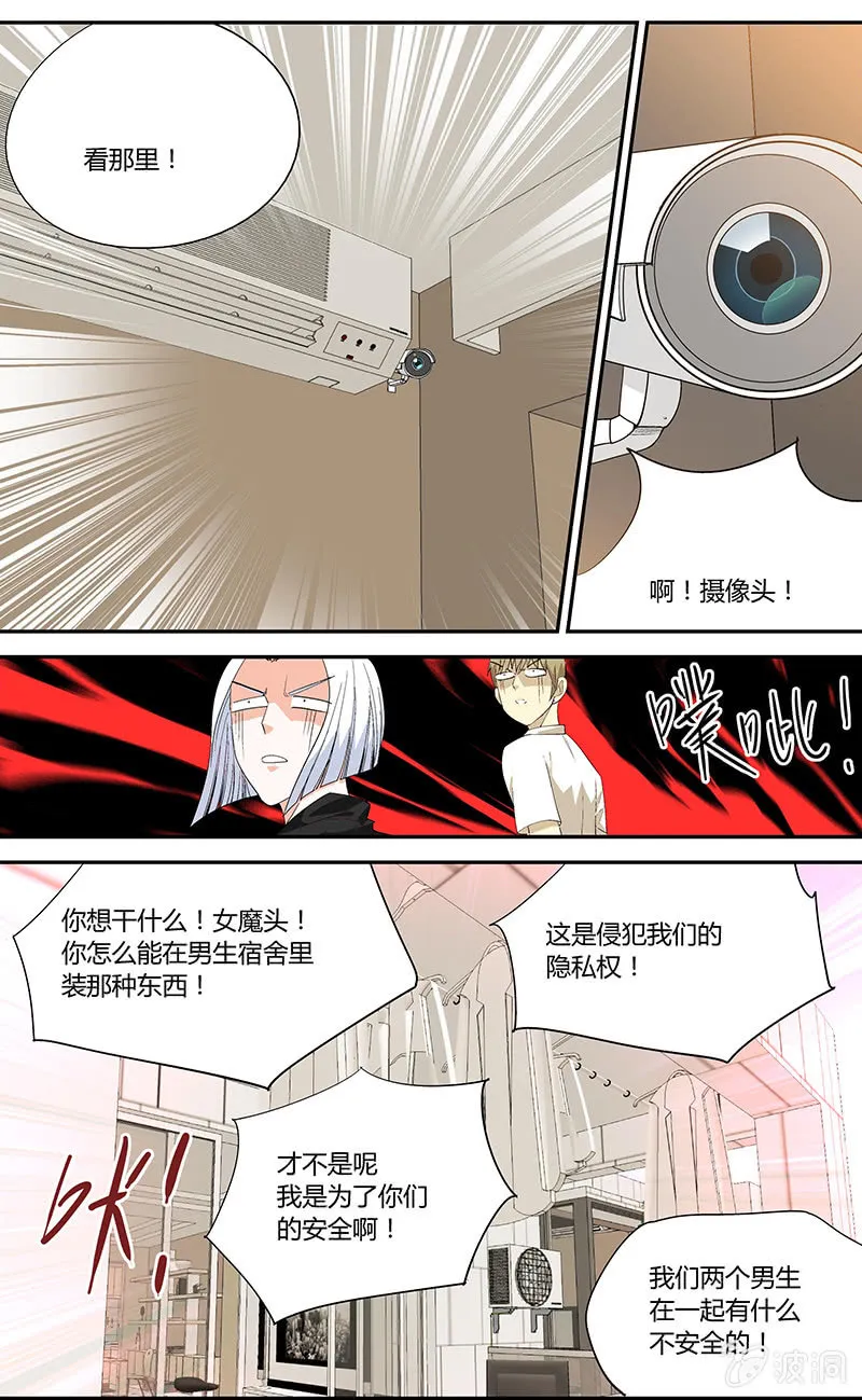5 第4页
